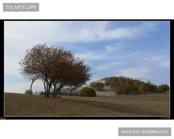 币游国际网址登陆ag平台介绍以及注册登录流程详解 币游国际网址登陆ag平台介绍以及注册登录流程详解