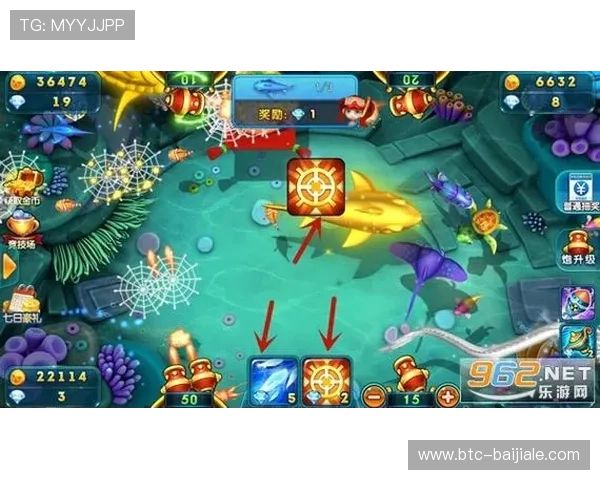 博鱼真人官方网站游戏种类全面介绍，满足不同玩家对真人娱乐多样化的需求与偏好